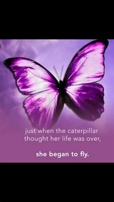 Pin By Bobby Lynn On Quotes Butterfly Quotes Butterfly Inspiration