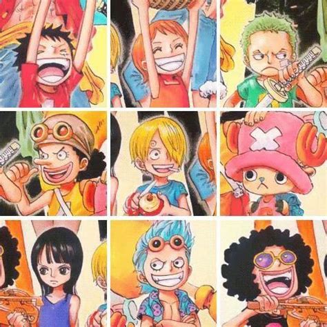 Erica schroeder is the voice of monkey d. Pin on Straw hat Pirates!!!