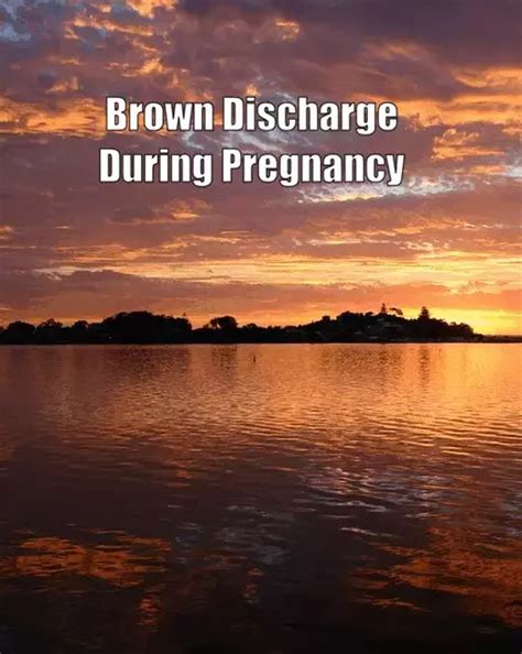 Brown Discharge During Pregnancy Health Advisor