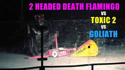 2 headed death flamingo vs toxic 2 vs goliath robot wars youtube