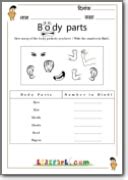 body parts worksheetsteachers worksheetskindergarten curriculam
