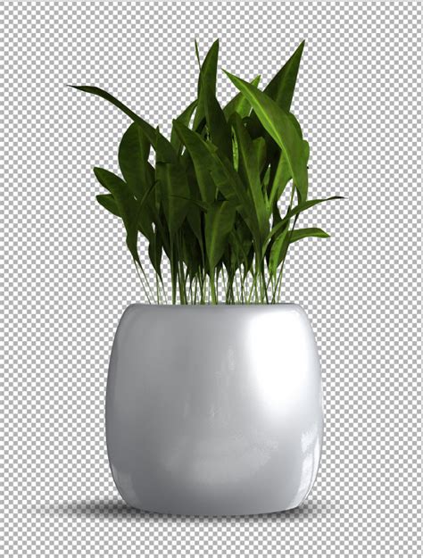 Render Of Isolated Plant With Isometric View Premium Psd File