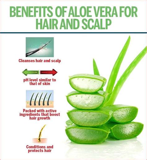 Effective Tips On Using Aloe Vera For Hair Growth