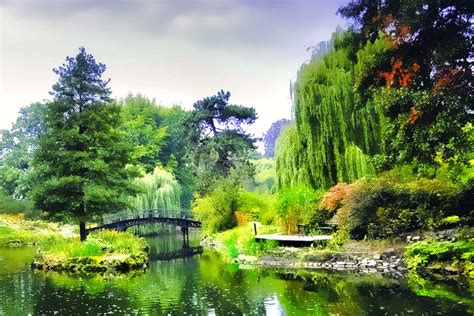 È inoltre il primo film prodotto in technicolor a tre colori. Alberi da giardino | Sempreverdi, con fiori e da frutto - Fai da te in giardino