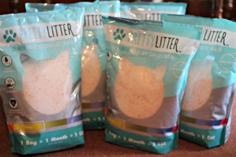 Prettylitter Monitors Your Cats Health Christys Cozy