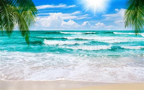 Exotic Tropical Paradise Island Sand Beach Turquoise Sea Water Ocean