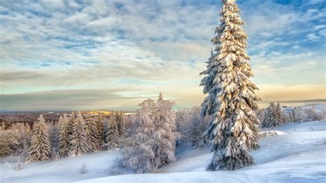 1600x900 Resolution Winter Landscape With Snow Covered Trees 1600x900