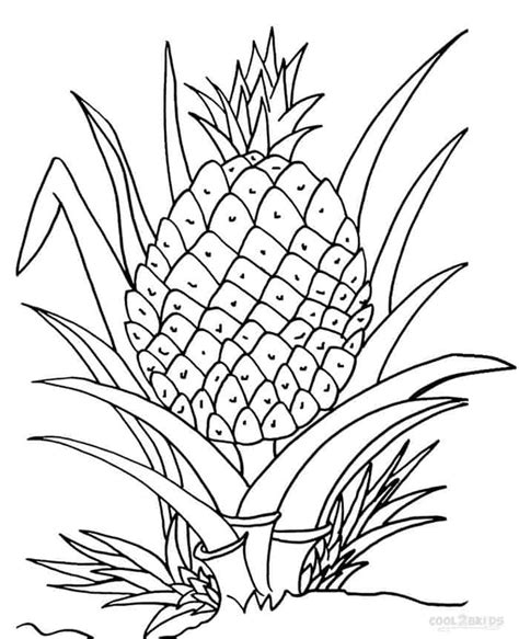 Currently more than 61 000 drawings. Pineapple Coloring Pages For Kids - ColoringFile