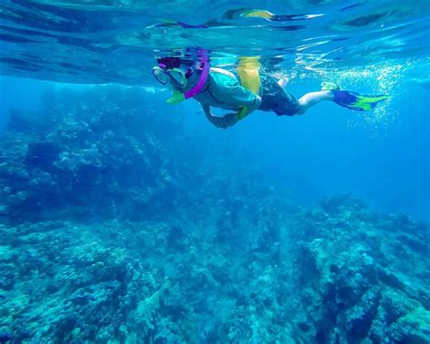 Molokini Snorkeling What Is The Best Molokini Snorkel Tour For