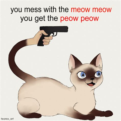 Cat Meme 1080x1080 Cat Memes 1080 X 1080 Page 1 Line 17qq Com Phut