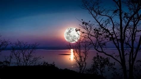 Volle maan on vain yksi upeista nähtävyyksistä kaupungissa leidschendam. Volle maan 14 december 2016 - door Leni - YouTube