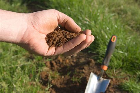 Everything You Need To Know About Soil Testing The Turfgrass Group Inc