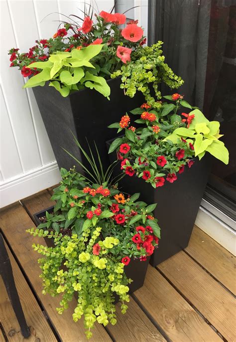 Every size, colour and use these lovely planters to give all your flowers and plants a home outside. How To Build Your Own Tall Outdoor Planter Boxes (With ...