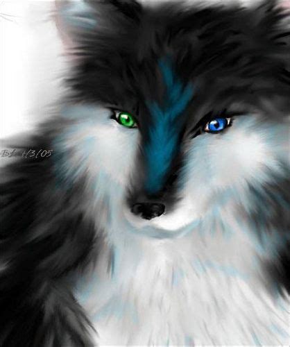Heterochromia Wolf This Is Just Awesome I Love The Art And Shading