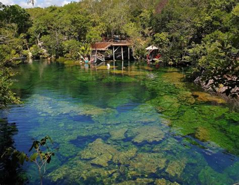 Cenote Jardín Del Edén Un Paraíso Terrenal Info Quintana Roo