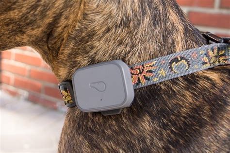 Found this graphic in an archived reddit file. The Best GPS Trackers for Cats and Dogs: Reviews by ...