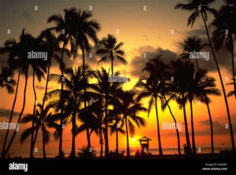 Sunset Waikiki Beach Waikiki Oahu Hawaii Usa Stock Photo Alamy