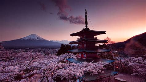 Earth Japan Spring Cherry Blossom Mount Fuji Volcanoes Hd