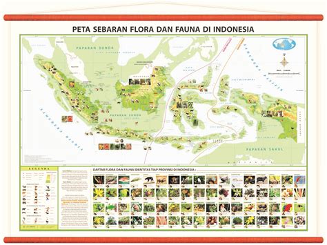 411 likes · 10 talking about this. Pembagian Persebaran Flora dan Fauna di Indonesia - Materi ...