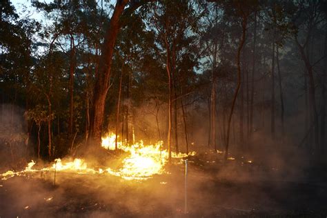 Australia Battles Devastating Wildfires