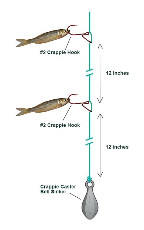 Crappie Minnow Rig For Fishing Black And White Crappie
