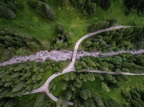 Aerial Drone View Of Trees From The Top On A Forest On The Italian