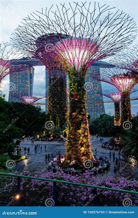 Garden By The Bay Light Show Singapore Editorial Stock Photo Image