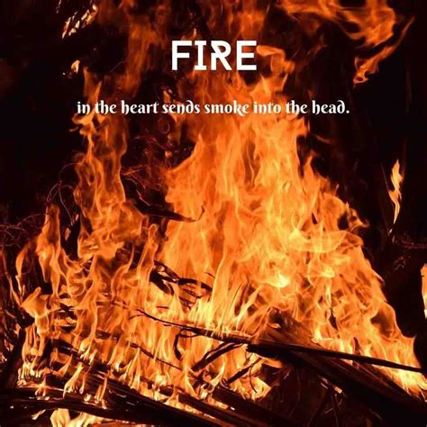 270 Fire Quotes That Will Ignite Your Your Soul Quotecc