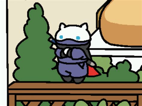 If you're looking for a specific rare cat, it's likely they have a favorite toy or perch to which they're inclined. Neko Atsume rare cats | 2048