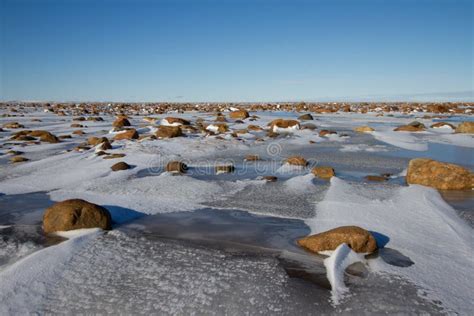 Arctic Landscape Frozen Arctic Tundra In Nunavut Over A Rocky Snow
