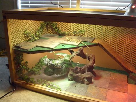 I made a background for a bearded dragon enclosure for a friend of mine. DIY bearded dragon habitat | Enrichment ideas | Pinterest | Much!, Little princess and Bearded ...