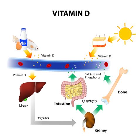 Vitamin D & parathyroid hormone are associated with instability & poor