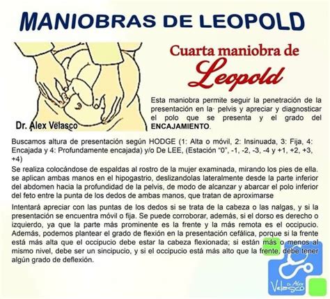 Pin De Claribel En Materno Infantil Maniobras De Leopold Estudiantes De Enfermer A Gineco