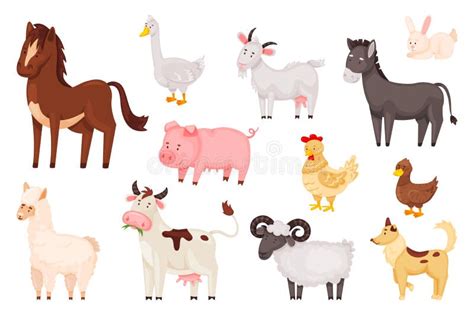 Cartoon Cute Farm Animals And Birds Rural Domestic Livestock Sheep