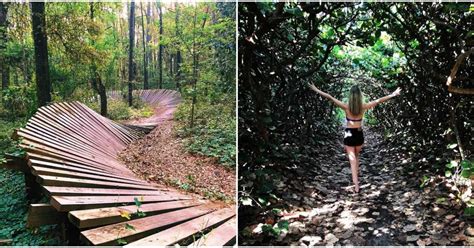 Florida Hiking Trails That Are Perfect For Your Summer Adventures