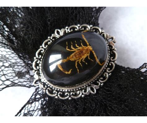 Taxidermy Scorpion Hair Pin Cabinet Curiosities Oddities Victorian