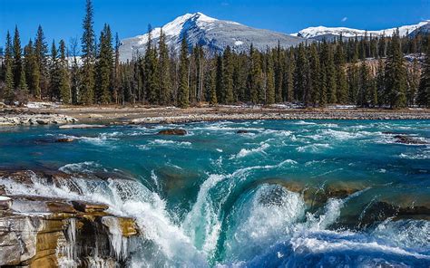 Waterfall Mountain River Mountain Landscape Forest Athabasca Falls