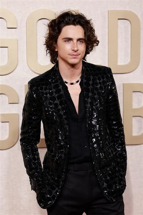 Timothee Chalamet Sparkles On Golden Globes Red Carpet Without Kylie