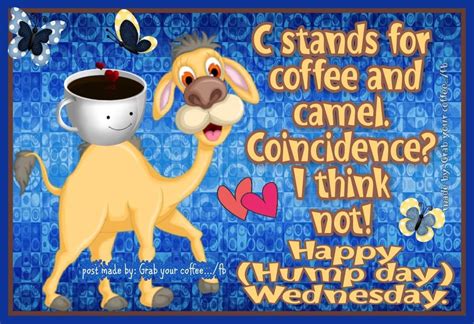 wednesday hump day ecards