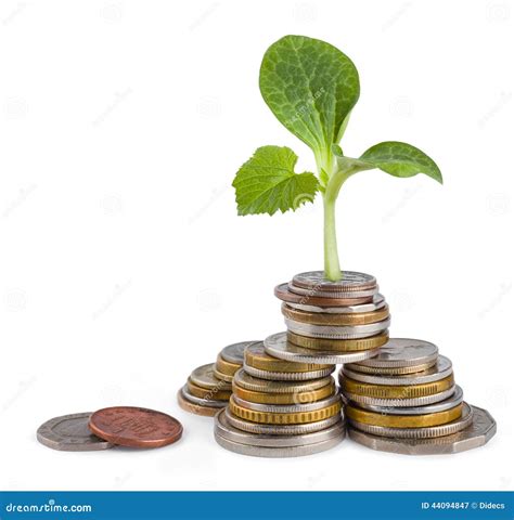 Money Growth Or Ecology Concept Stock Image Image Of Bank Growth