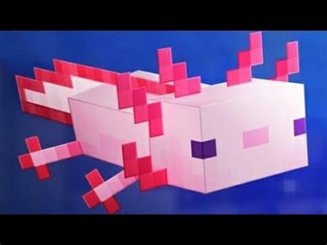 Como Tener Ajolotes En Minecraft YouTube