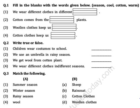 Cbse Class 1 Evs Revision Worksheet Set C