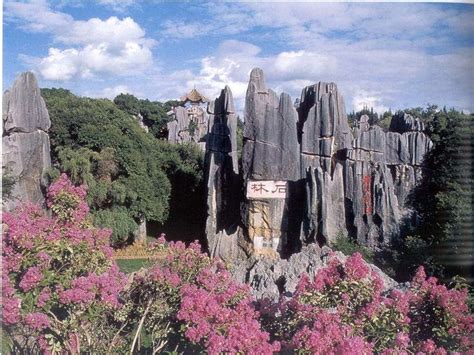 Stone Forest China Forest Trip China Travel