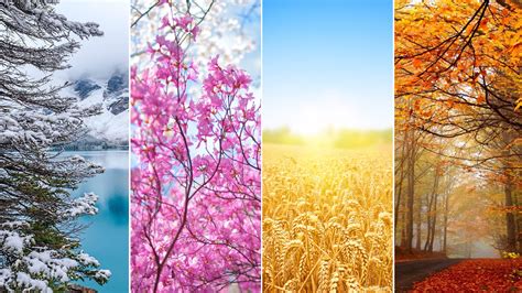 4 Seasons Wallpapers Top Free 4 Seasons Backgrounds Wallpaperaccess