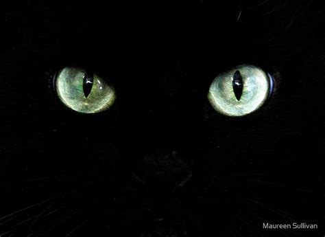 Black Cat With Glowing Eyes By Maureen Sullivan Redbubble