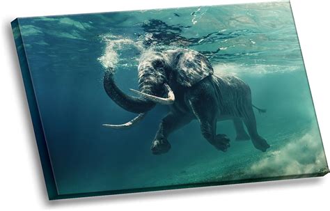 Grey Elephant With Tusks Swimming Underwater Picture