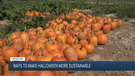 Ways To Have A More Sustainable Halloween