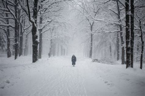 Lonely Figure In The Snow Stock Photo Image Of Person 30103178