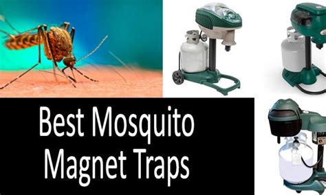 Best Mosquito Traps Crokids