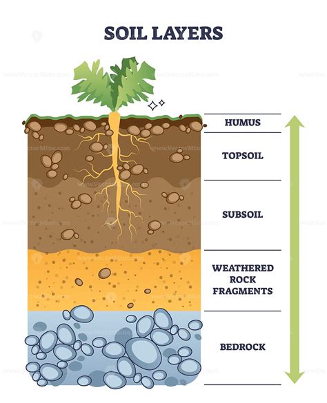 Soil Layers With Geological Ground Structure And Materials Outline